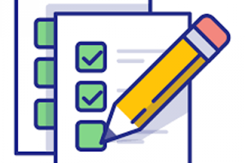 Survey Visual