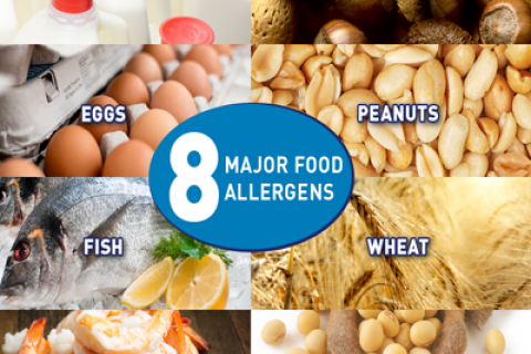FDA Major Food Allergens