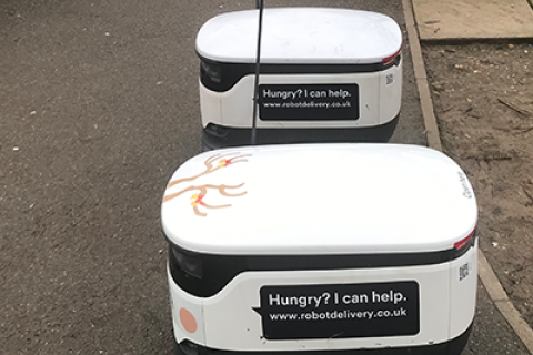 Sidewalk Robots
