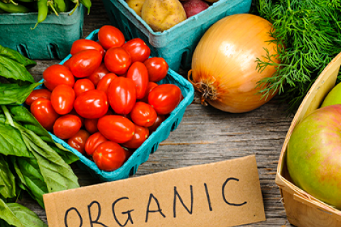 Organic sign