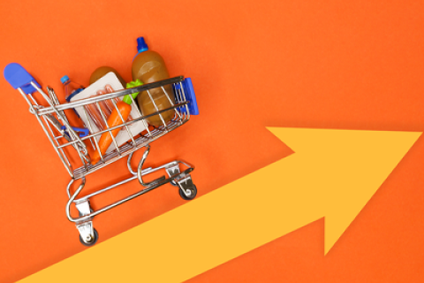 Shopping cart